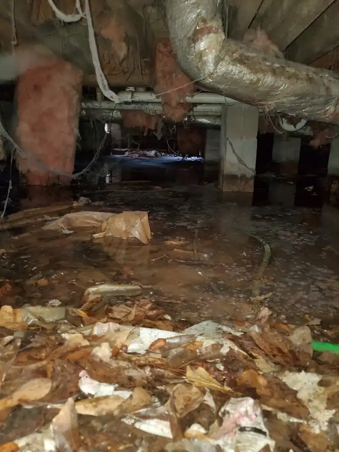 Crawl space flood assessment for Leak Detection & Repair in Oak Lawn