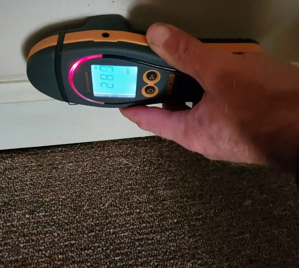 Moisture detection at baseboard during Mold Inspection & Testing in Oak Lawn